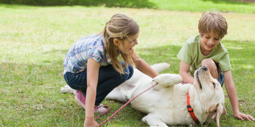 Crianças brincando com seu cão